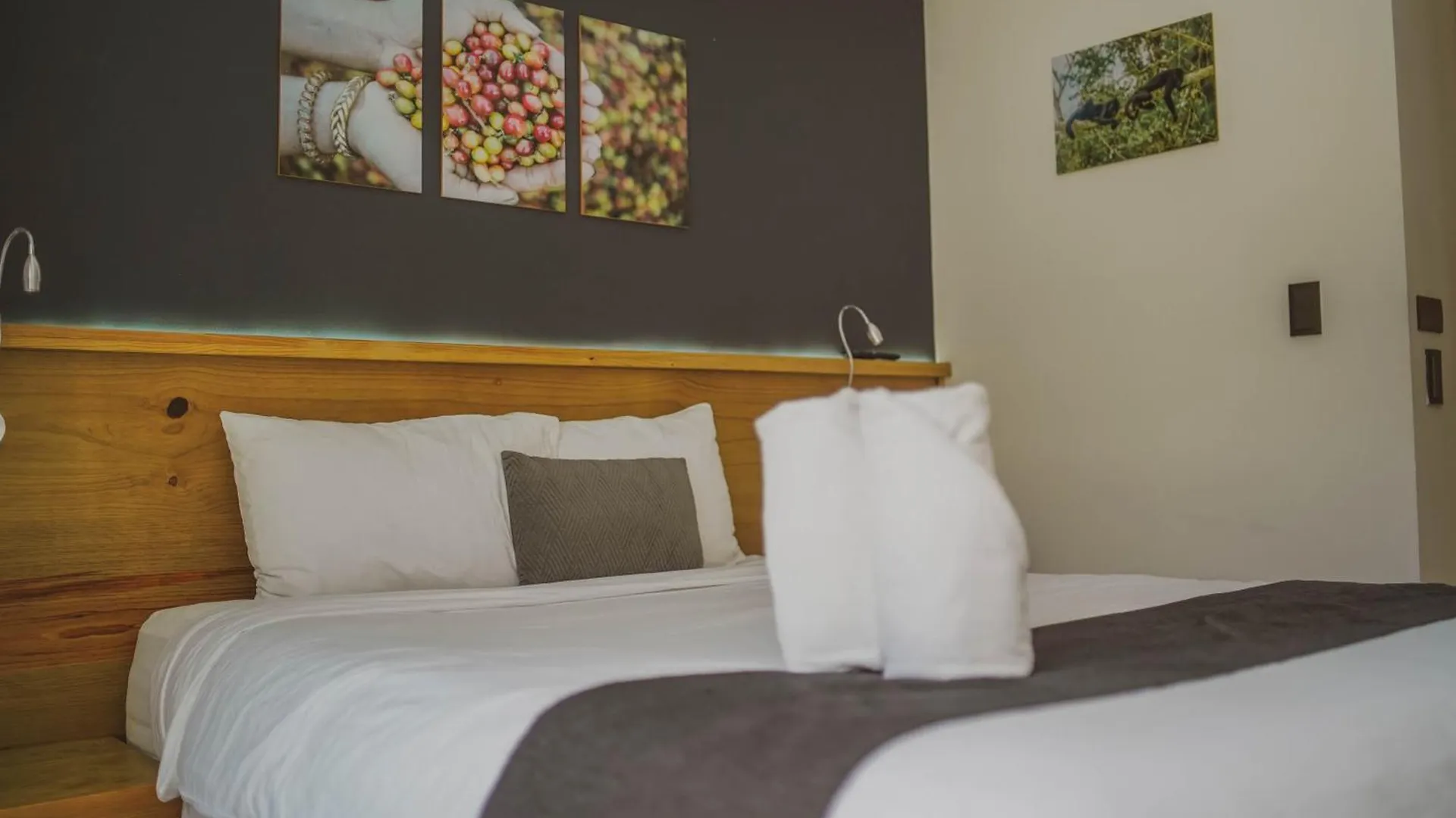 Elite Maya Hotel & Spa Антигуа-Гватемала 0*,